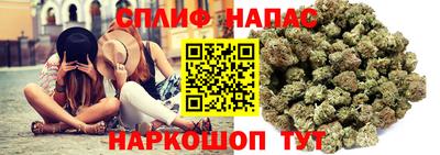 индика Гусиноозёрск