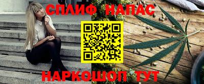 индика Гусиноозёрск