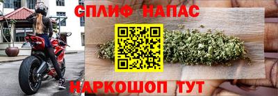 ГАЛЛЮЦИНОГЕННЫЕ ГРИБЫ Гусев