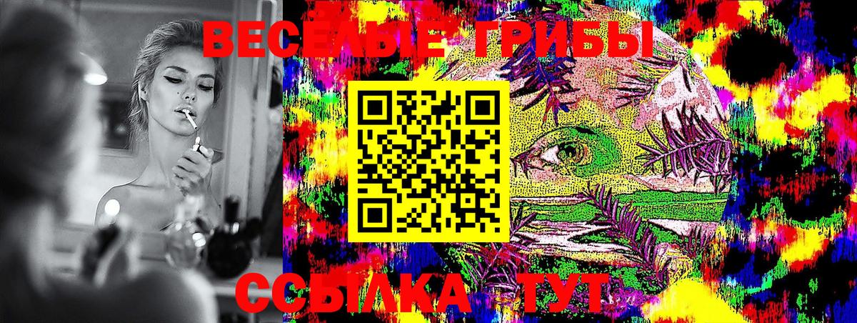 Галлюциногенные грибы GOLDEN TEACHER Можга