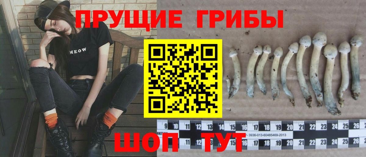 Можга  Псилоцибиновые грибы прущие грибы  Вход с VPN  Галлюциногенные грибы мухоморы 